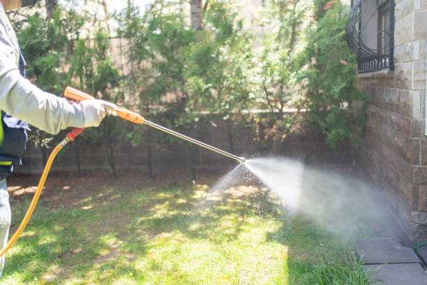 Best Residential Pest Control  in Chestnut Ridge, NY